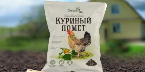 Kako zalijevati paradajz u stakleniku od polikarbonata